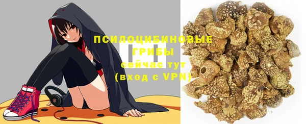 прущий лед Надым