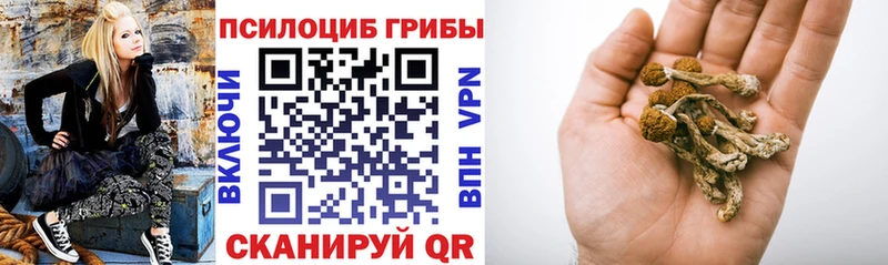 Купить закладки  Ставрополь  Галлюциногенные грибы ЛСД 